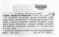 Image Associated With the Occurence